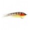 Bait Brown Trout