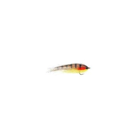Bait Brown Trout