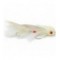 Boogieman Mini White