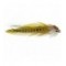 Bumper Olive White