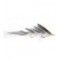 Deceiver Shad