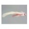 Deerhair Diver Red White