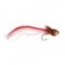 Firetail Brown