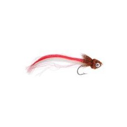Firetail Brown