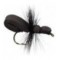 Foam Ant Black