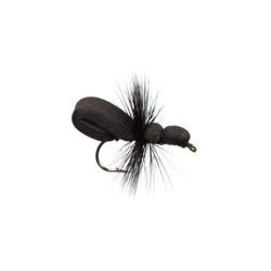 Foam Ant Black