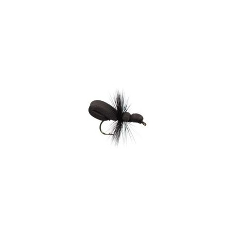 Foam Ant Black