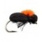 Foam Beetle