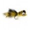 Puffed Up Croaker