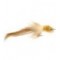 Tarpon Bunny Tan
