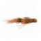 Tips Up Brown