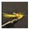 Ally's Yellow
