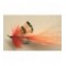 allys shrimp orange