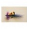 allys shrimp purple