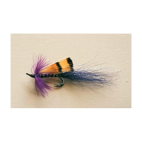 allys shrimp purple