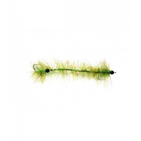 Cactus Worm Olive