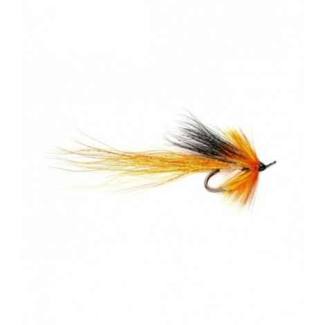 Cascade Shrimp