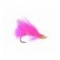 Coho Comet