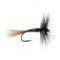 FPL Black Ribbed