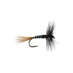 FPL Black Ribbed