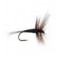 FPL Black Winged