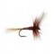FPL Brown Winged