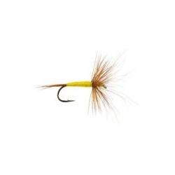 FPL CDC Yellow