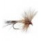 Ausable Wulff