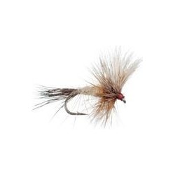 Ausable Wulff
