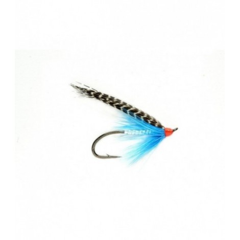 Medicine Teal
