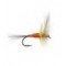 FPL Orange Winged