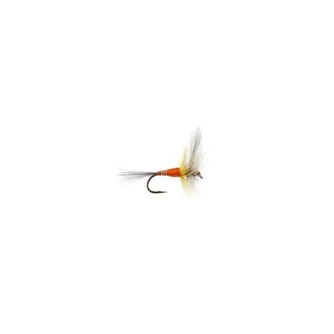 FPL Orange Winged