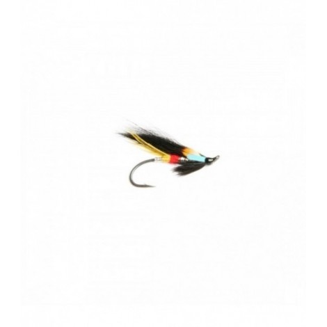 Night hawk single 5