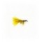 Nymph Olive (JW)