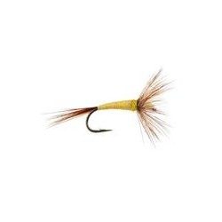 FPL Pale Yellow