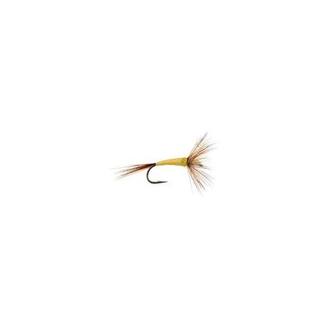 FPL Pale Yellow
