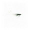 Oeland Shrimp Grey