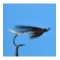 Silver Tail