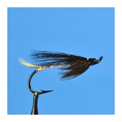 Silver Tail