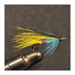 Silver Williamson