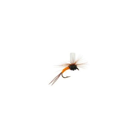FT Klinkhammer Orange