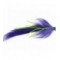 Strip Tease Purple