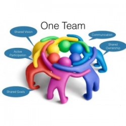 team