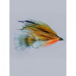 teds brook trout
