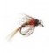Ales TG Brown Allstars Nymph