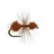 Fur Ant Cinnamon