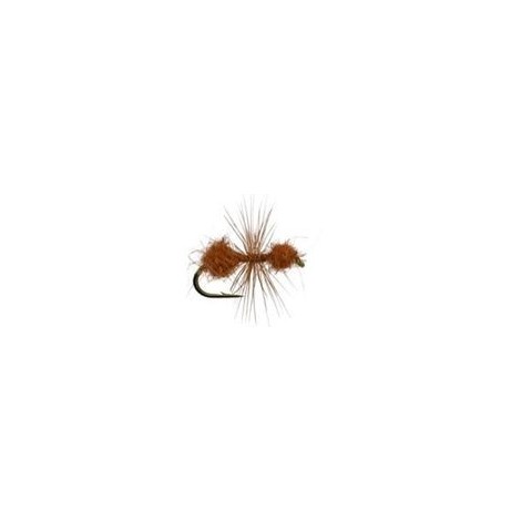 Fur Ant Cinnamon