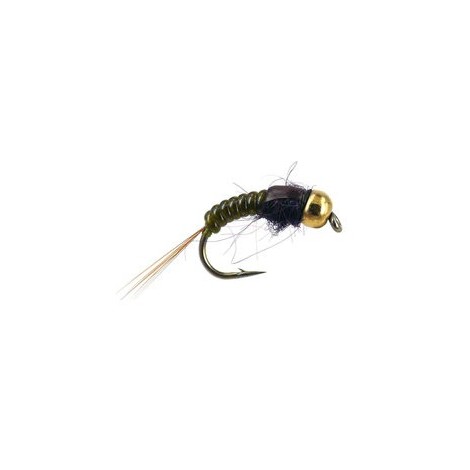Ales TG Olive Body Glas
