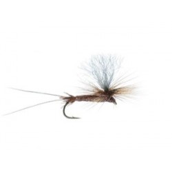 Bears Brown Drake Hi Vis