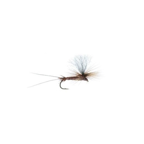 Bears Brown Drake Hi Vis